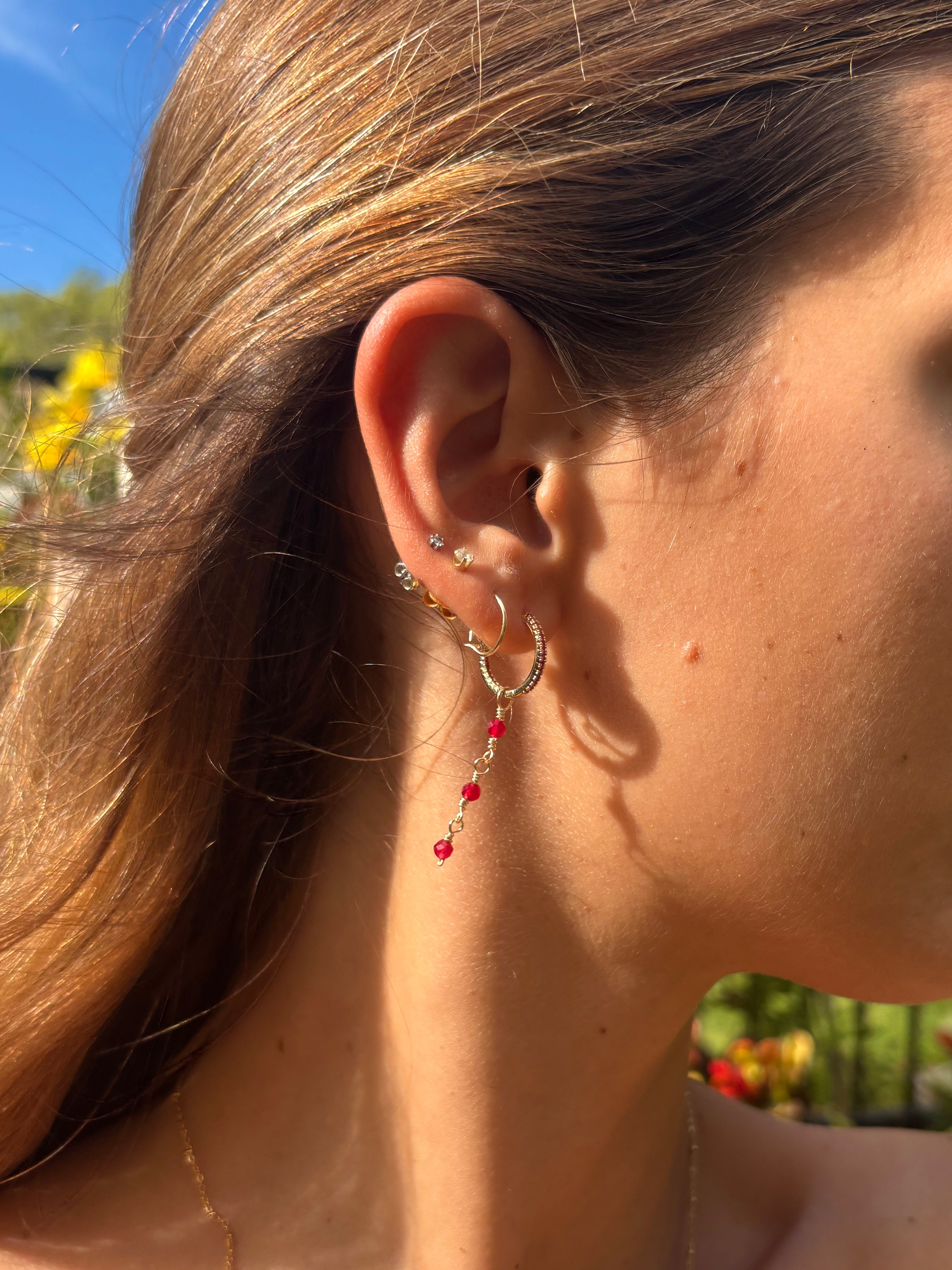 Hibiscus Hoops