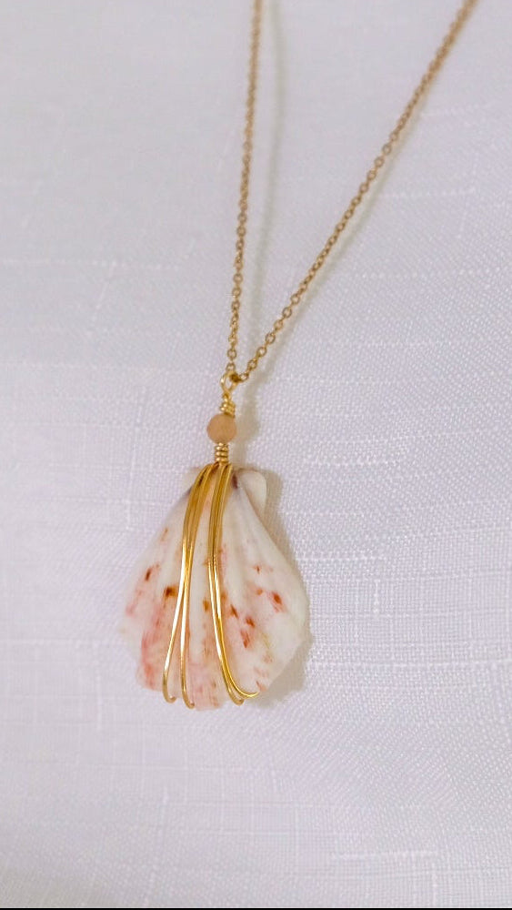 Necklace with a shell pendant on a white background